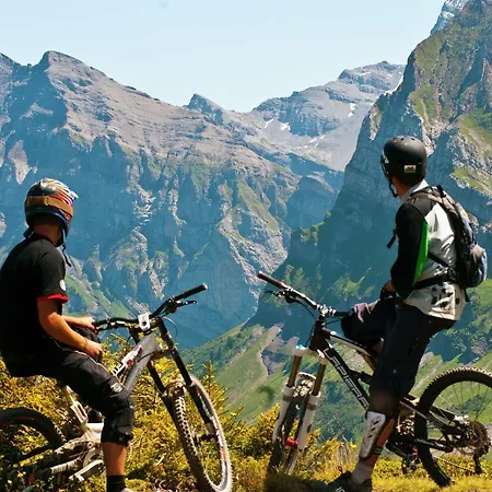 Helpel Chalet Les Gets